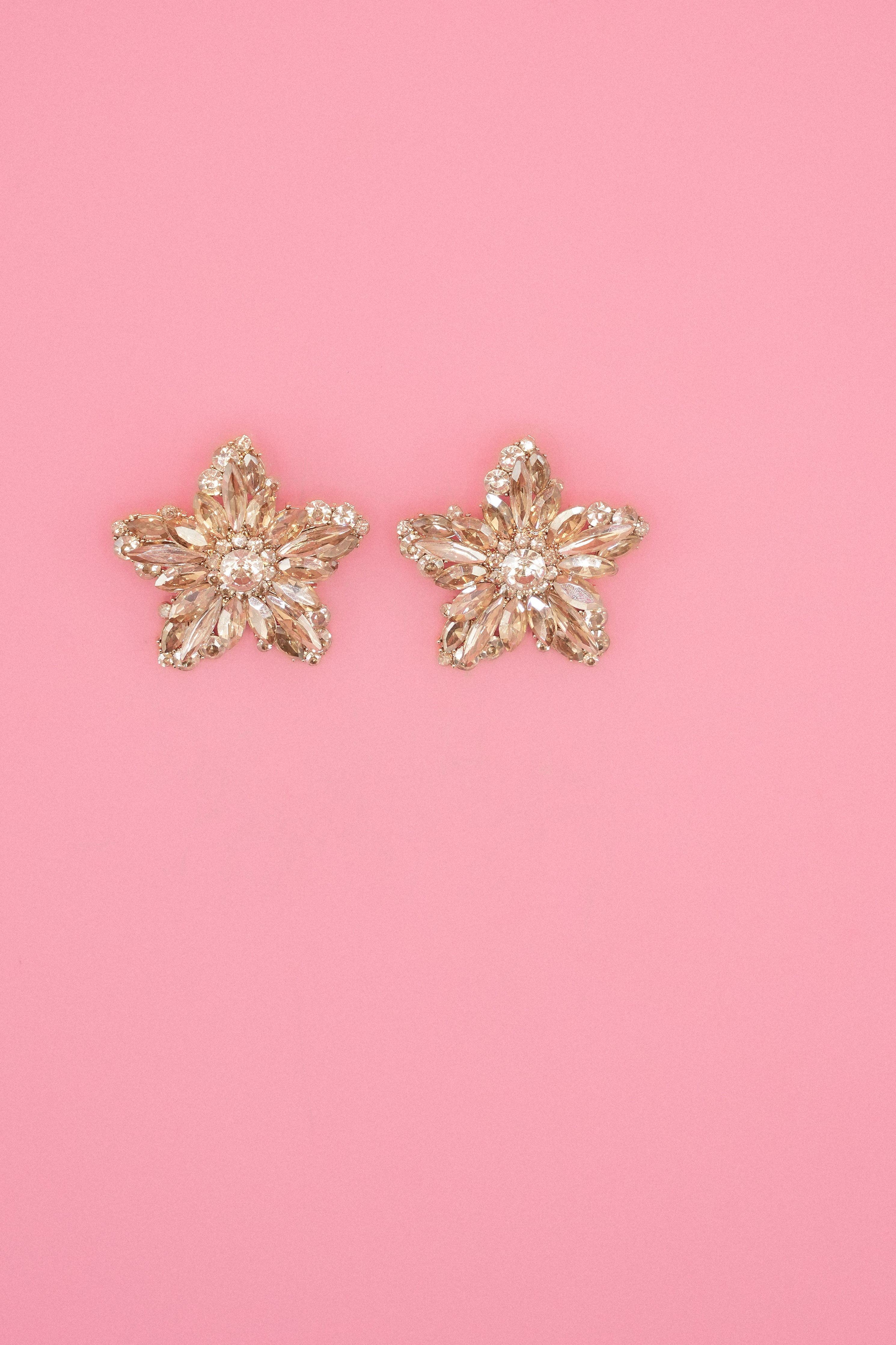 You are a star Earrings