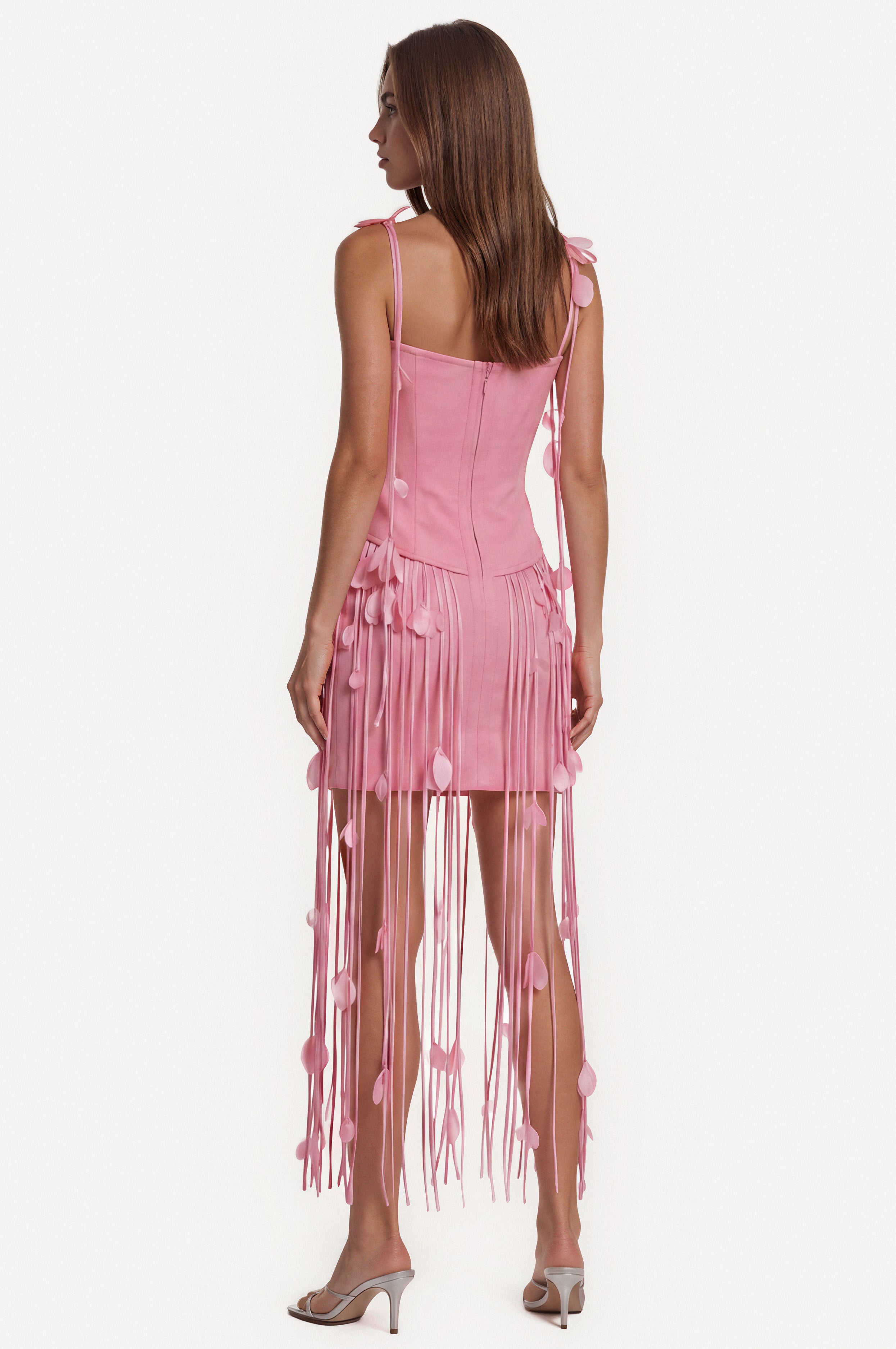 Blush Fringe Dress