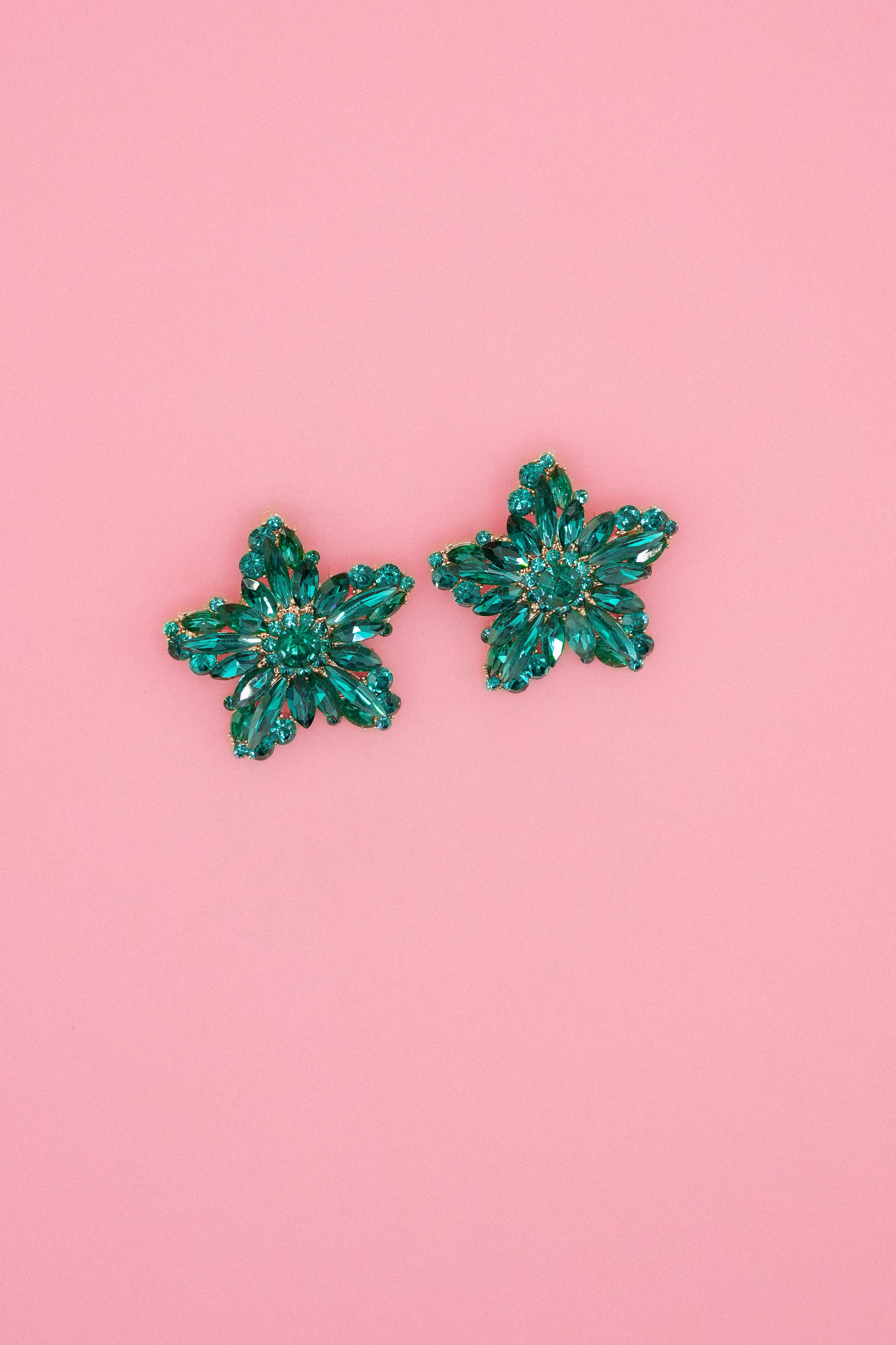 You are a star Earrings