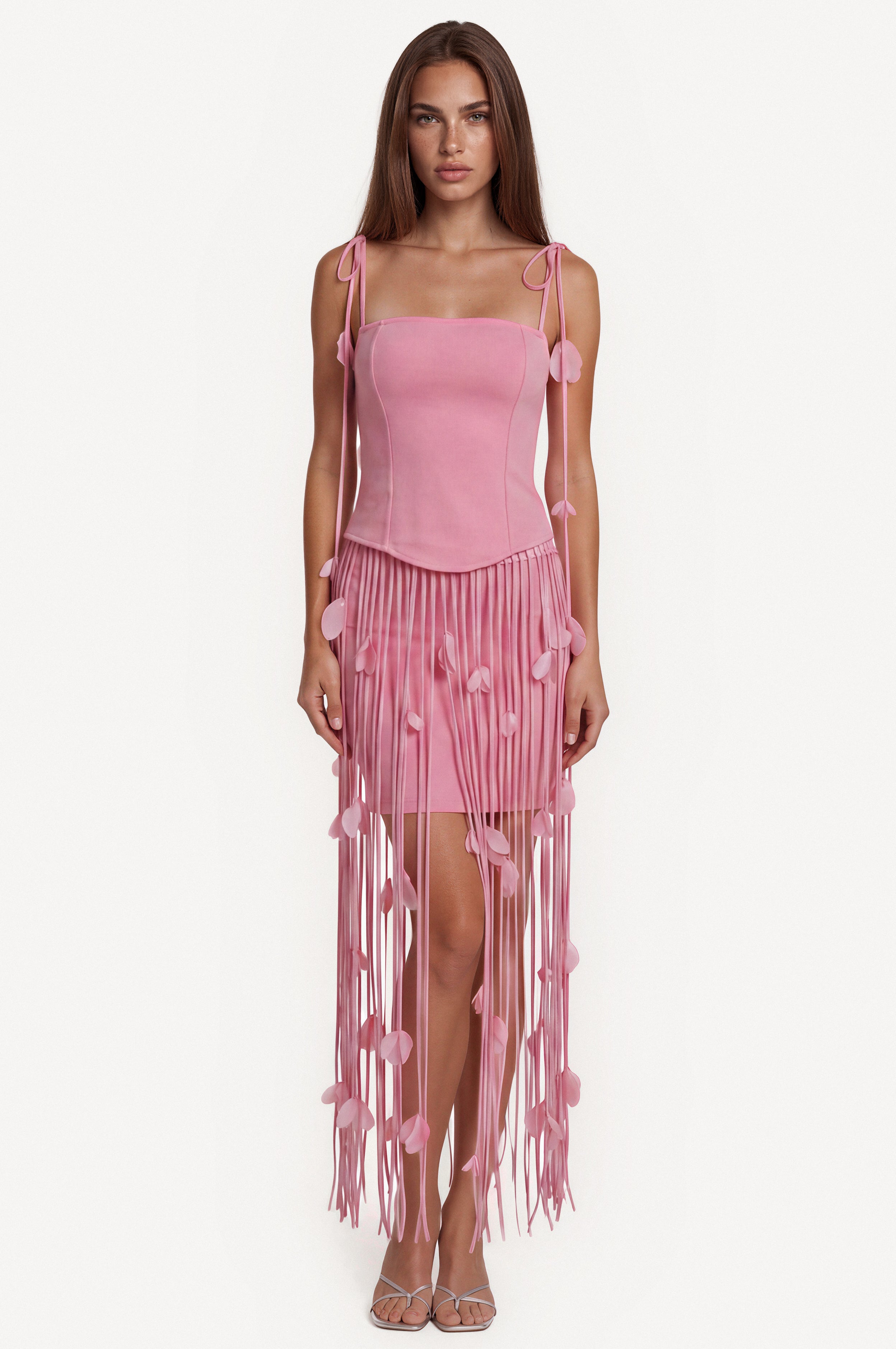 Blush Fringe Dress